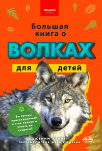 Большая Книга О Волках Для Детей - Jenny Kellett - E-Book