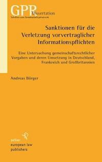 Sanktionen für die Verletzung vorvertraglicher Informationspflichten - Andreas Börger - E-Book