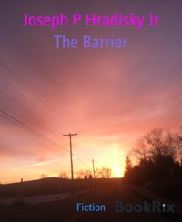 The Barrier - Joseph P Hradisky Jr - E-Book
