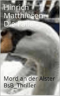 Die Falle - Hinrich Matthiesen - E-Book