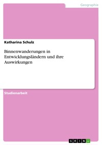Binnenwanderungen in Entwicklungsländern und ihre Auswirkungen - Katharina Schulz - E-Book