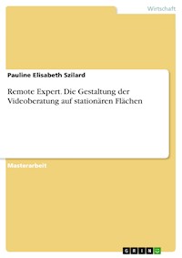 Remote Expert. Die Gestaltung der Videoberatung auf stationären Flächen - Pauline Elisabeth Szilard - E-Book