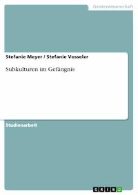 Subkulturen im Gefängnis - Stefanie Meyer - E-Book