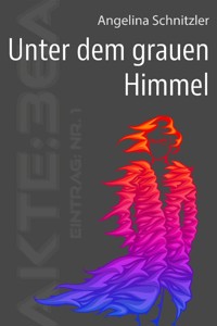 Unter dem grauen Himmel - Angelina Schnitzler - E-Book