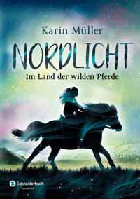 Nordlicht, Band 01 - Karin Müller - E-Book