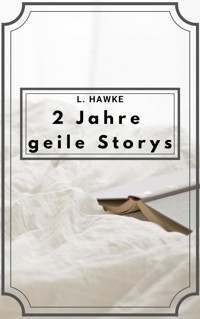 2 Jahre geile Storys - L. Hawke - E-Book