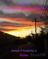FADED - Joseph P Hradisky Jr - E-Book