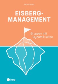 Eisbergmanagement (E-Book) - Gerhard Friedl - E-Book
