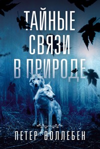 Тайные связи в природе - Петер Воллебен - E-Book