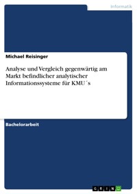 Analyse und Vergleich gegenwärtig am Markt befindlicher analytischer Informationssysteme für KMU´s - Michael Reisinger - E-Book
