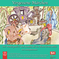 Der Wandergeselle / Vom Knaben, der das Hexen lernen wollte - Ludwig Bechstein  - Hörbuch