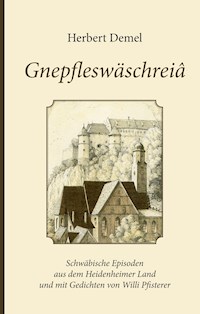 Gnepfleswäschreiâ - Herbert Demel - E-Book