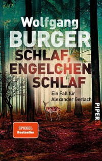 Schlaf, Engelchen, schlaf - Wolfgang Burger - E-Book