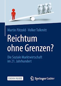 Reichtum ohne Grenzen? - Volker Tolkmitt - E-Book