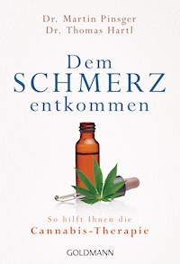 Dem Schmerz entkommen - Martin Pinsger - E-Book