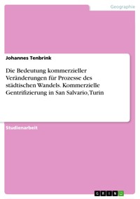Die Bedeutung kommerzieller Veränderungen für Prozesse des städtischen Wandels. Kommerzielle Gentrifizierung in San Salvario, Turin - Johannes Tenbrink - E-Book