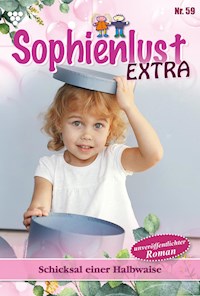 Schicksal einer Halbwaise - Gert Rothberg - E-Book