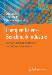 Energieeffizienz-Benchmark Industrie -  - E-Book