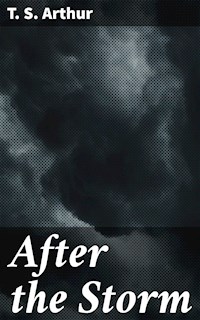 After the Storm - T.S. Arthur - E-Book