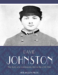 The Story of a Confederate Boy in the Civil War - David Johnston - E-Book