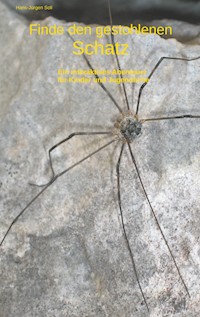 Finde den gestohlenen Schatz - Hans-Jürgen Soll - E-Book