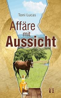 Affäre mit Aussicht - Toni Lucas - E-Book