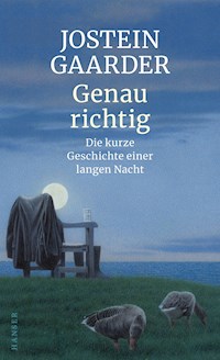 Genau richtig - Jostein Gaarder - E-Book