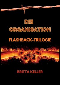 Die Organisation  Flashback-Trilogie - Britta Keller - E-Book