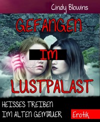 Gefangen im Lustpalast - Cindy Blowins - E-Book