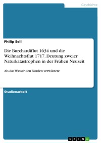 Die Burchardiflut 1634 und die Weihnachtsflut 1717. Deutung zweier Naturkatastrophen in der Frühen Neuzeit - Philip Sell - E-Book