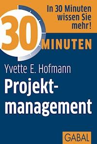 30 Minuten Projektmanagement - Yvette E. Hofmann - E-Book