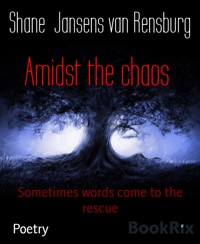 Amidst the chaos - Shane Jansens van Rensburg - E-Book