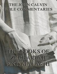 John Calvin's Commentaries On Zechariah And Malachi - John Calvin - E-Book
