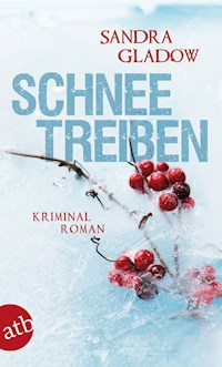 Schneetreiben - Sandra Gladow - E-Book