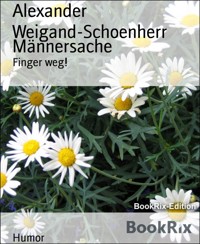 Männersache - Alexander Weigand-Schoenherr - kostenlos E-Book