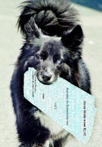 Hanni findet einen ELVO - Angel Jean de Roosen - E-Book