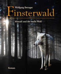Finsterwald - Wolfgang Beringer - E-Book