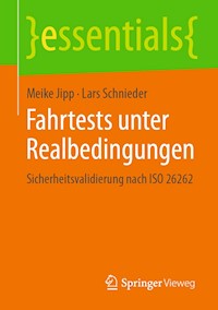 Fahrtests unter Realbedingungen - Meike Jipp - E-Book