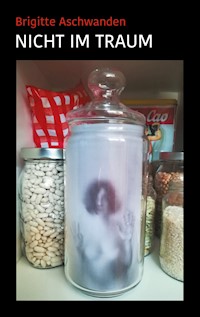 Nicht im Traum - Brigitte Aschwanden - E-Book