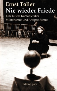 Nie wieder Friede - Ernst Toller - E-Book