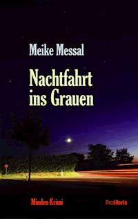 Nachtfahrt ins Grauen - Meike Messal - E-Book