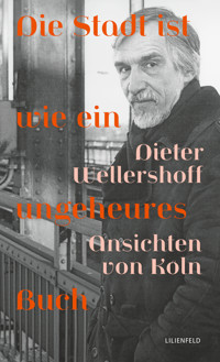 Die Stadt ist wie ein ungeheures Buch - Dieter Wellershoff - E-Book