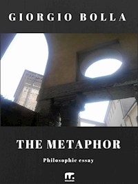 The metaphor - Giorgio Bolla - E-Book