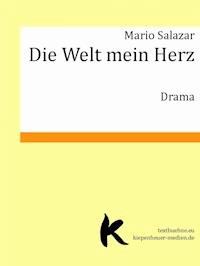 DIE WELT MEIN HERZ - Mario Salazar - E-Book