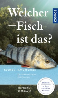 Welcher Fisch ist das? - Matthias Bergbauer - E-Book