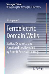 Ferroelectric Domain Walls - Jill Guyonnet - E-Book