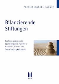 Bilanzierende Stiftungen - Patrick M Hagner - E-Book