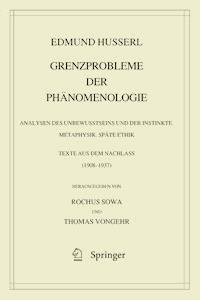Grenzprobleme der Phänomenologie - Edmund Husserl - E-Book