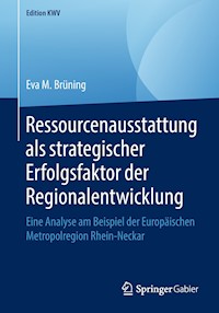 Ressourcenausstattung als strategischer Erfolgsfaktor der Regionalentwicklung - Eva M. Brüning - E-Book