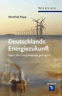 Deutschlands Energiezukunft - Manfred Popp - E-Book